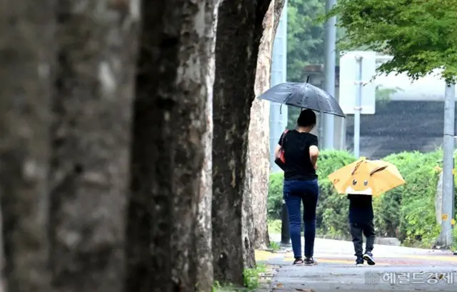 韓国政府「8～10月の降水量、平年以上の水準」と予想…「”干ばつ”の心配なし」