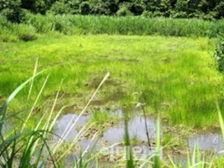 New marshland discovered in DMZ, endangered species found - South Korea