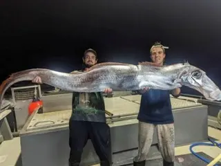 Strange deep-sea fish caught in Australia with 'horse head and fish body'