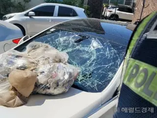 A woman in her 60s was injured by a North Korean garbage balloon while cleaning her garden (South Korea)