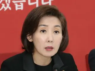 South Korean ruling party lawmaker: "Every day there's talk of an exclusive Yoon-Korea meeting"... "It's like a North-South summit"