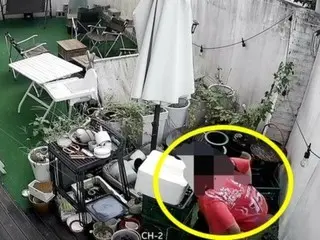 "I couldn't believe my eyes"... A man who appears to be Chinese defecates on a cafe terrace in South Korea