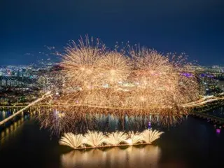 "1 million people gather for fireworks festival" Yeouido emergency... What are the safety measures?