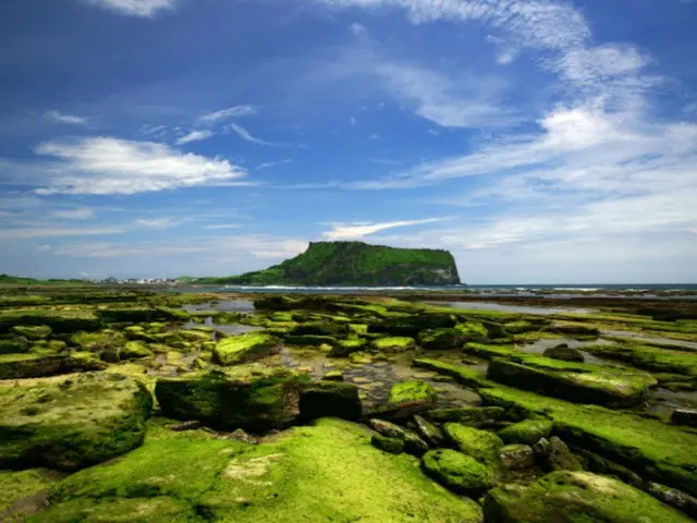 "World Environment Day" to be held in Jeju next year...First domestic event in 28 years