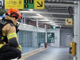 Wild boar appears at Busan Urban Railroad station... One man injured (South Korea)