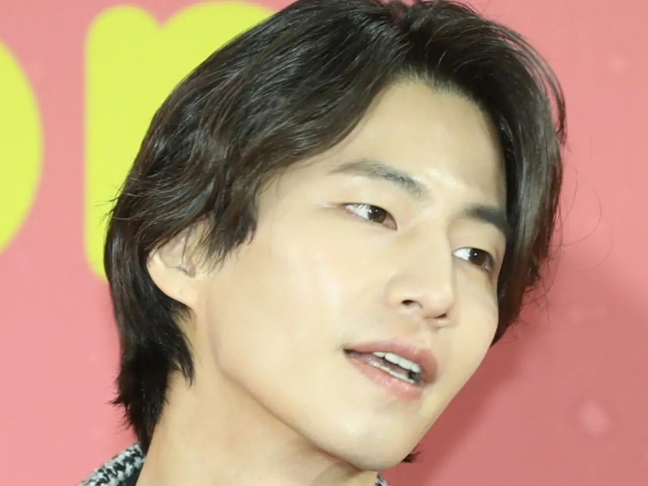 Actor Song Jae Lim, who died suddenly, suffered harassment from a ...