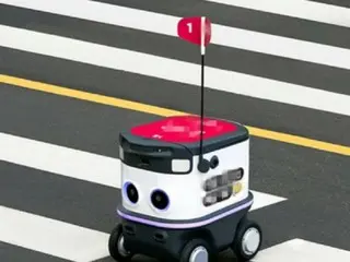 Delivery robot collides with car while crossing road... Will there be a settlement? = South Korea