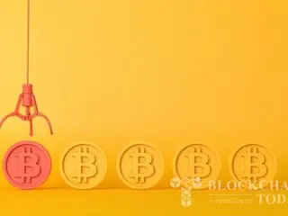 VanEck: US Stockpiling Bitcoin as Strategic Reserve Asset Would Reduce National Debt