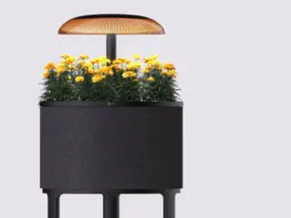 LG unveils new "plant appliances," including lighting and speakers that let you get closer to greenery (Korea)