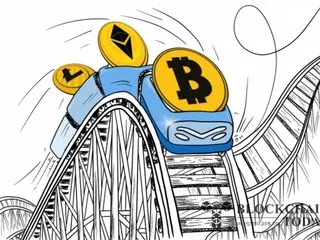 Bitcoin falls back to $95,000 but "the bull market is not over"