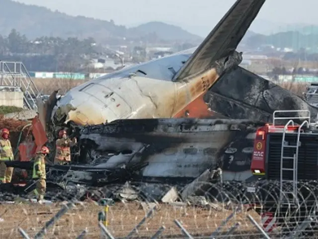 Muan International Airport passenger plane disaster: "Bird strike was the cause" vs. "That doesn't explain it"...Experts have different opinions on the cause of the accident = South Korea