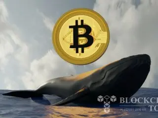 Bitcoin whales buy up 34,000 BTC during recent correction