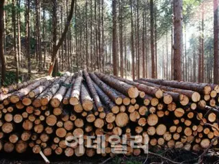 Forest resources that have been discarded until now can be used to achieve carbon neutrality - South Korean report