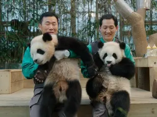 "My Dear Fu Bao", a film about the love and miracles of the 1,354 days between the birth of a panda named Fu Bao and his caregivers in Korea, will be released in theaters on April 18th.