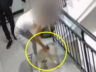 South Korean couple investigated for throwing pet dog from second floor in front of 10-year-old son