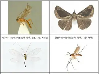 The proportion of subtropical insects among new and previously unrecorded species discovered in South Korea is increasing (South Korea)