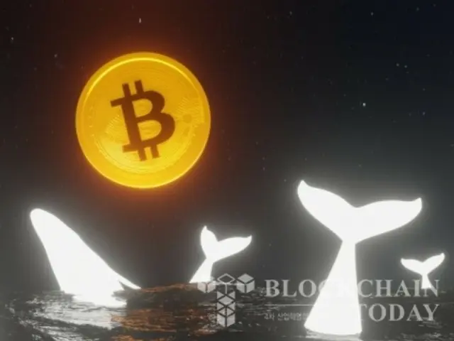 Bitcoin Whales Bought Up $200 Million in BTC Just Before Trump's Reserve Plan Announcement