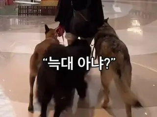 Woman sparks controversy after visiting shopping mall with three wolfdogs (South Korea)