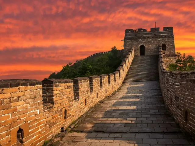China's services trade grows 'fast' in first quarter - China report