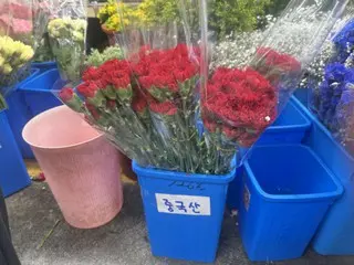 Chinese carnations, gifts "group purchase"... A May scene born of high prices = Korea