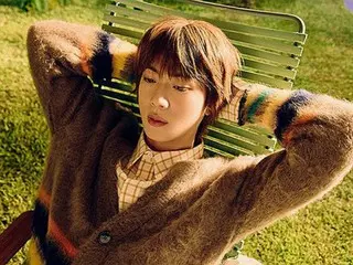 Japanese woman turns herself in to Korean police for forcibly kissing BTS member Jin