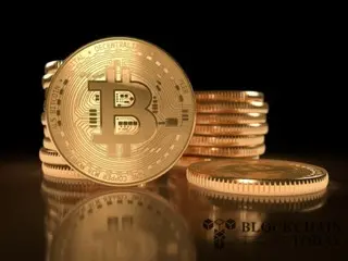 Goldman Sachs and BlackRock Bitcoin ETF were the "largest holders" in Q1... 28% increase