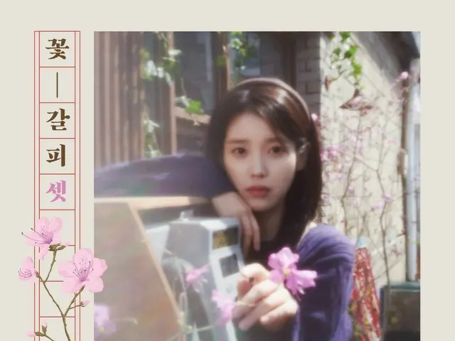 IU to release first remake album in 8 years, "Flower Bookmark 3" on the 27th... first comeback in 1 year and 3 months
