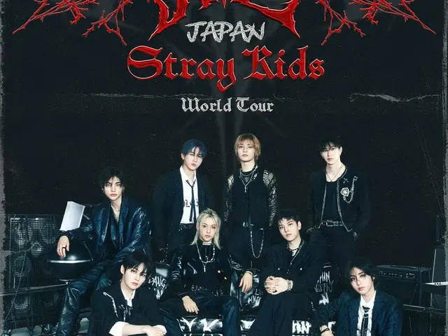 "Stray Kids" successfully completes first Japanese stadium performance on world tour... 220,000 people in 4 days