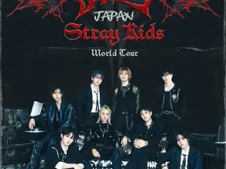 "Stray Kids" successfully completes first Japanese stadium performance on world tour... 220,000 people in 4 days