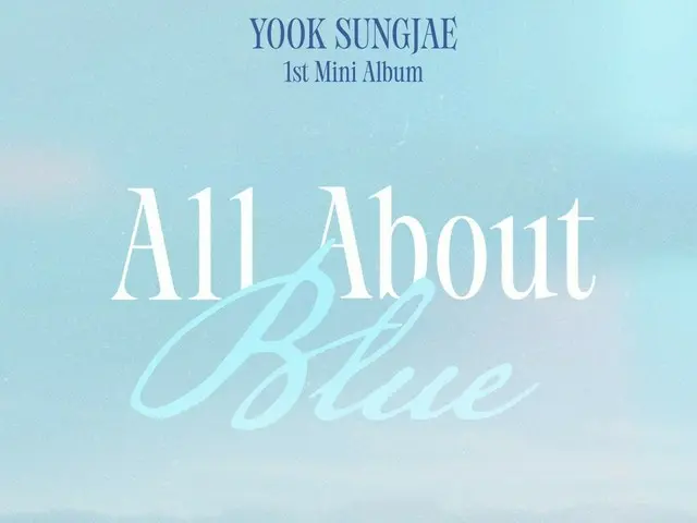 Yuk Seong Jae (BTOB), solo comeback after one year... "All About Blue" to be released next month
