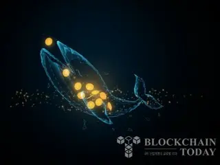 Hyper Liquid Whale Switches from Long to Short $1 Billion Bitcoin Position