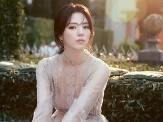 Actress Han Seo Hee shows off her elegant and sexy see-through dress