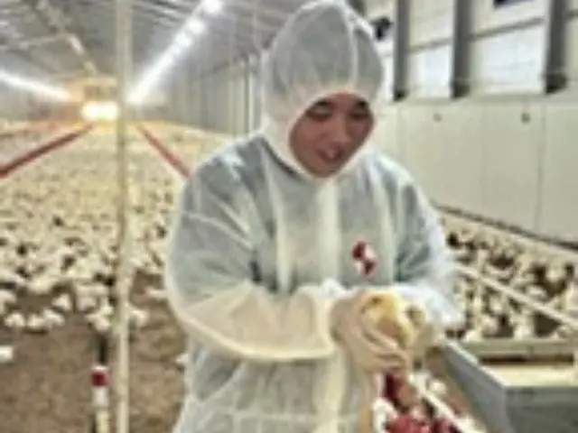 Lotte Mart starts raising chickens to ensure safe food supply - South Korea