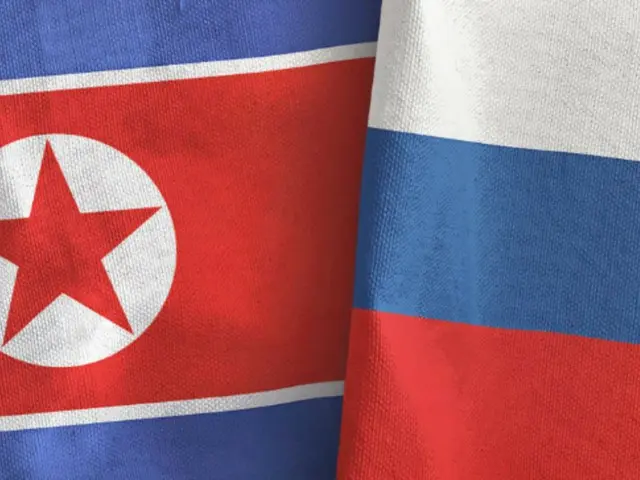 One year has passed since Russia and North Korea signed the Comprehensive Strategic Partnership Treaty, and a remarkable honeymoon period has unfolded