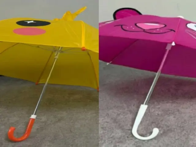 Temu, children's umbrella found to contain carcinogenic substance 444 times the standard value = Korea
