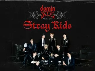 "Stray Kids" North American tour ends successfully, with praise and calls for an encore from media and fans around the world