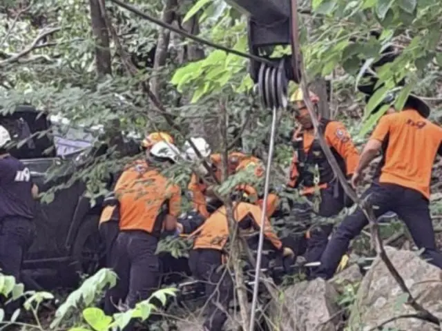 A car fell off a cliff on a national highway in Xiangyang... It got caught on a tree and narrowly escaped death = Korean report