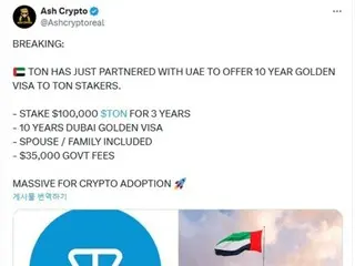 TON surges and then crashes due to "UAE Golden Visa" issue...Regulator says "Not true"