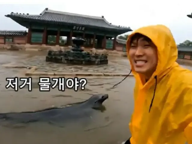 A sea lion appears in Gyeongbokgung Palace, which was flooded by heavy rains... What is the identity of the Hot Topic video? = Korea