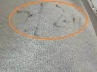 Wiping my child's body... the towel in a 400,000 won hotel room for one night was labeled "rag" (Korea)