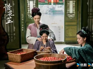 <Chinese TV Series NOW> "The Road Illuminated by the Stars" EP9, Huazhi starts her business in earnest = Synopsis and spoilers
