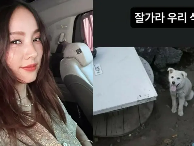 Lee Hyo Ri says goodbye to her beloved dog who is battling cancer... "Goodbye, Seok-sam"