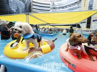The heatwave continues despite the approaching "Shochu" (around August 23rd in the solar calendar)... Warning issued in the capital and Gangwon areas