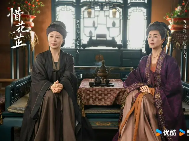 <Chinese TV Series NOW> "The Road Illuminated by Stars" EP15, the store opened by Huazhi is booming = Synopsis and spoilers