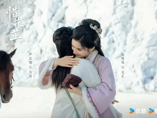 <Chinese TV Series NOW> "The Path of the Stars" EP19, Empress Dowager rushes to Lin Wan's funeral = Synopsis and spoilers