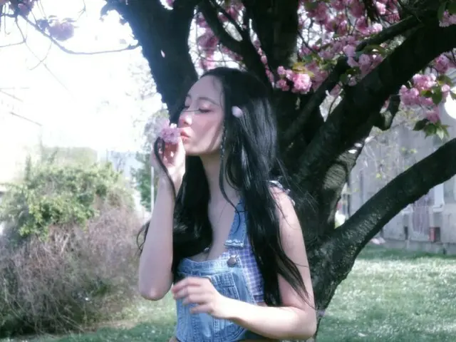 Singer Sunmi's latest photo shows a dreamlike scene in a windy meadow... "There are only flowers in the photo"