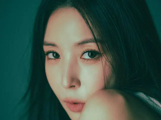 BoA returns to Instagram...concert "BoA One's Own 2024" to be held on the 12th and 13th