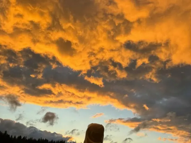 "ASTRO" Cha EUN WOO, a beautiful silhouette against the sunset (video included)