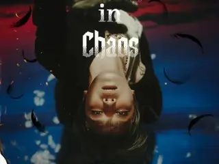 Jaejung's stunningly beautiful poster... an invitation to unknown territory, "Beauty in Chaos"