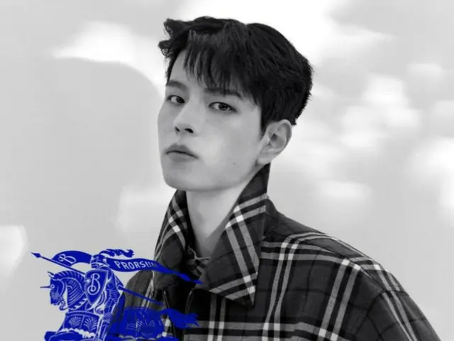 "Stray Kids" SEUNG MIN selected as Burberry ambassador... "Boundary-breaking individuality"